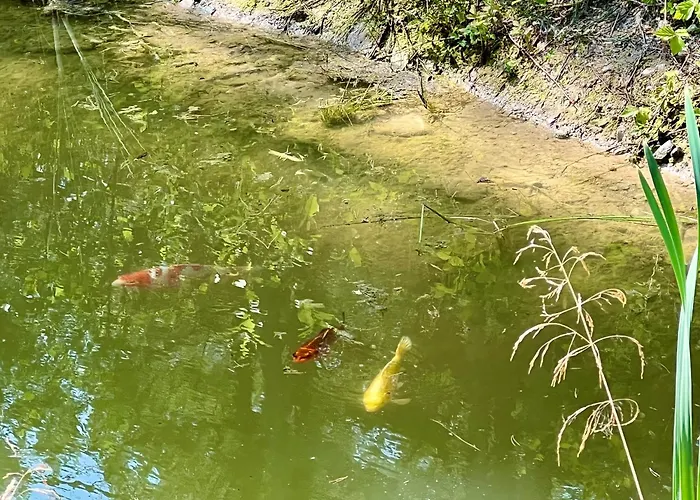 Ferienhaus Roosa Maja Parvesaunaga Reigi